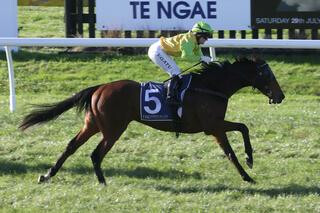 Pacorus (NZ) wins the Group 2 Rotorua Cup. Photo: Trish Dunell